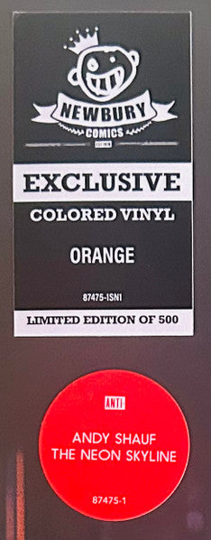 The Neon Skyline (VINYL) | Near Mint (NM) Near Mint (NM) - FOLK / USED *NEAR MINT*