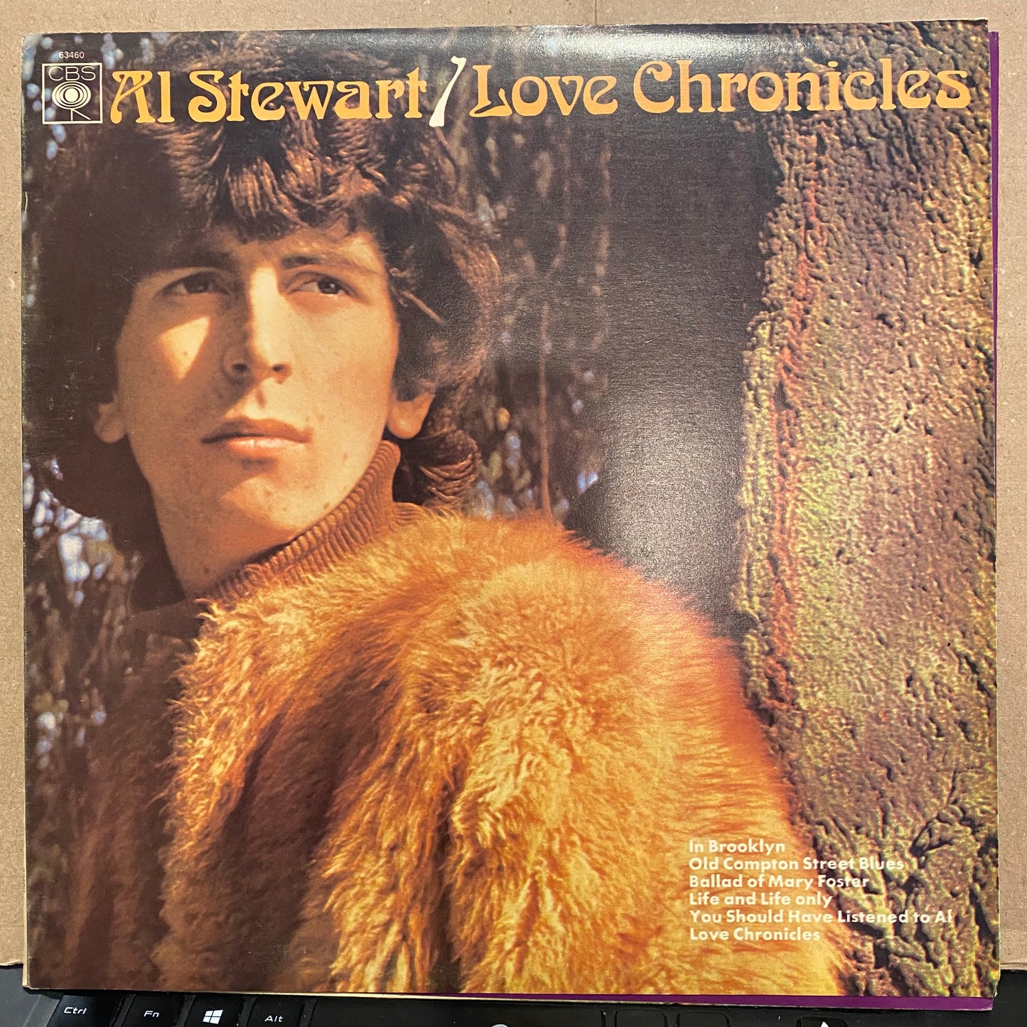 Al Stewart - Love Chronicles *UK IMPORT* | Near Mint (NM) Near Mint (NM) - FOLK / USED *NEAR MINT*