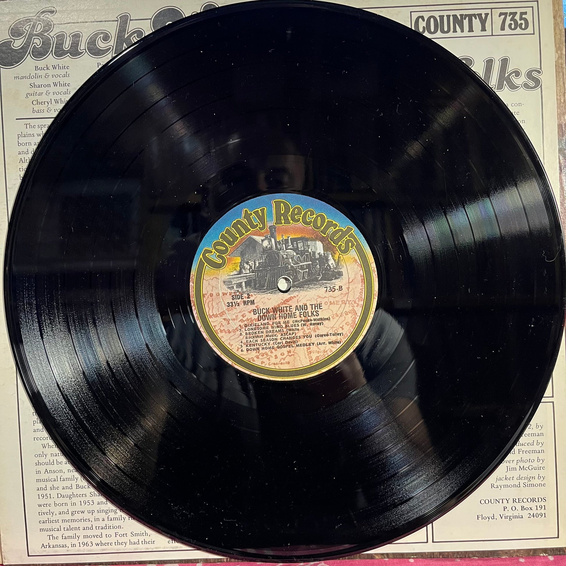 Buck White & The Down Home Folks - Buck White & The Down Home Folks | Near Mint (NM) Excellent (EX) - FOLK / USED *NEAR MINT*