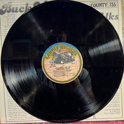 Buck White & The Down Home Folks - Buck White & The Down Home Folks | Near Mint (NM) Excellent (EX) - FOLK / USED *NEAR MINT*