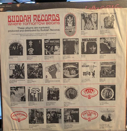 Leftover Wine (VINYL) | Near Mint- (NM-) Near Mint (NM or M-) - FOLK / USED *NEAR MINT*