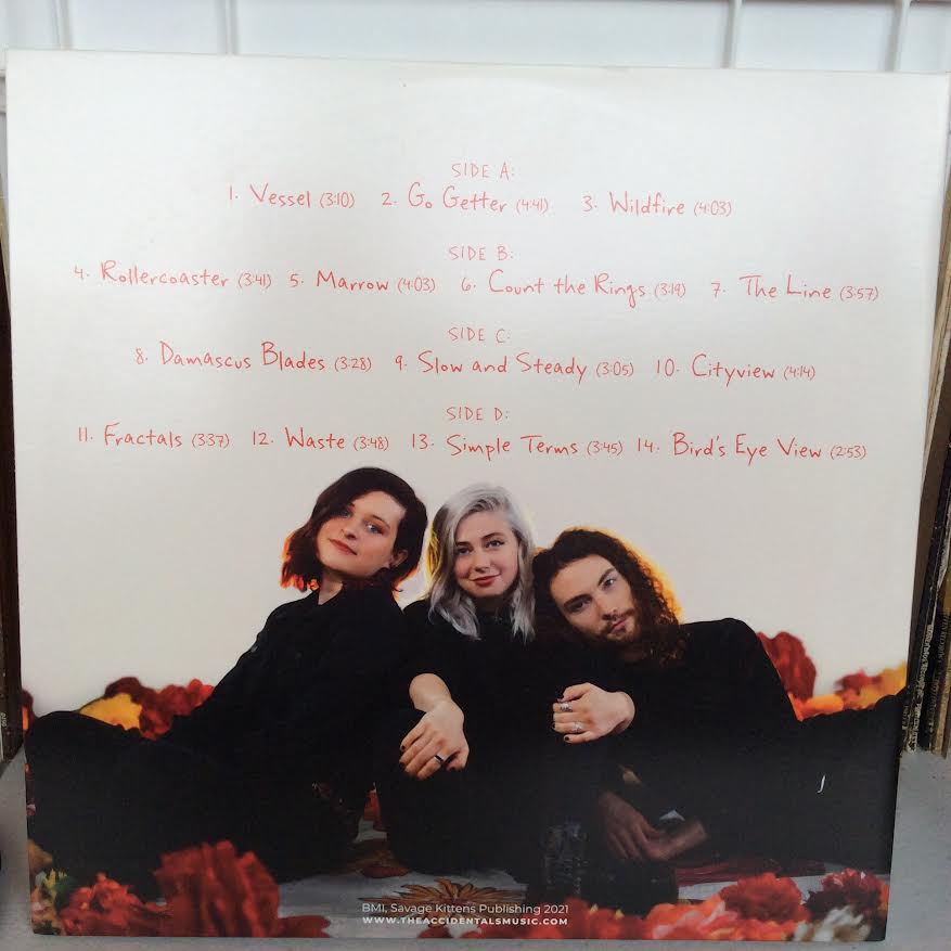 Vessel (2xVINYL) | Near Mint (NM) Near Mint (NM) - FOLK / USED *NEAR MINT*