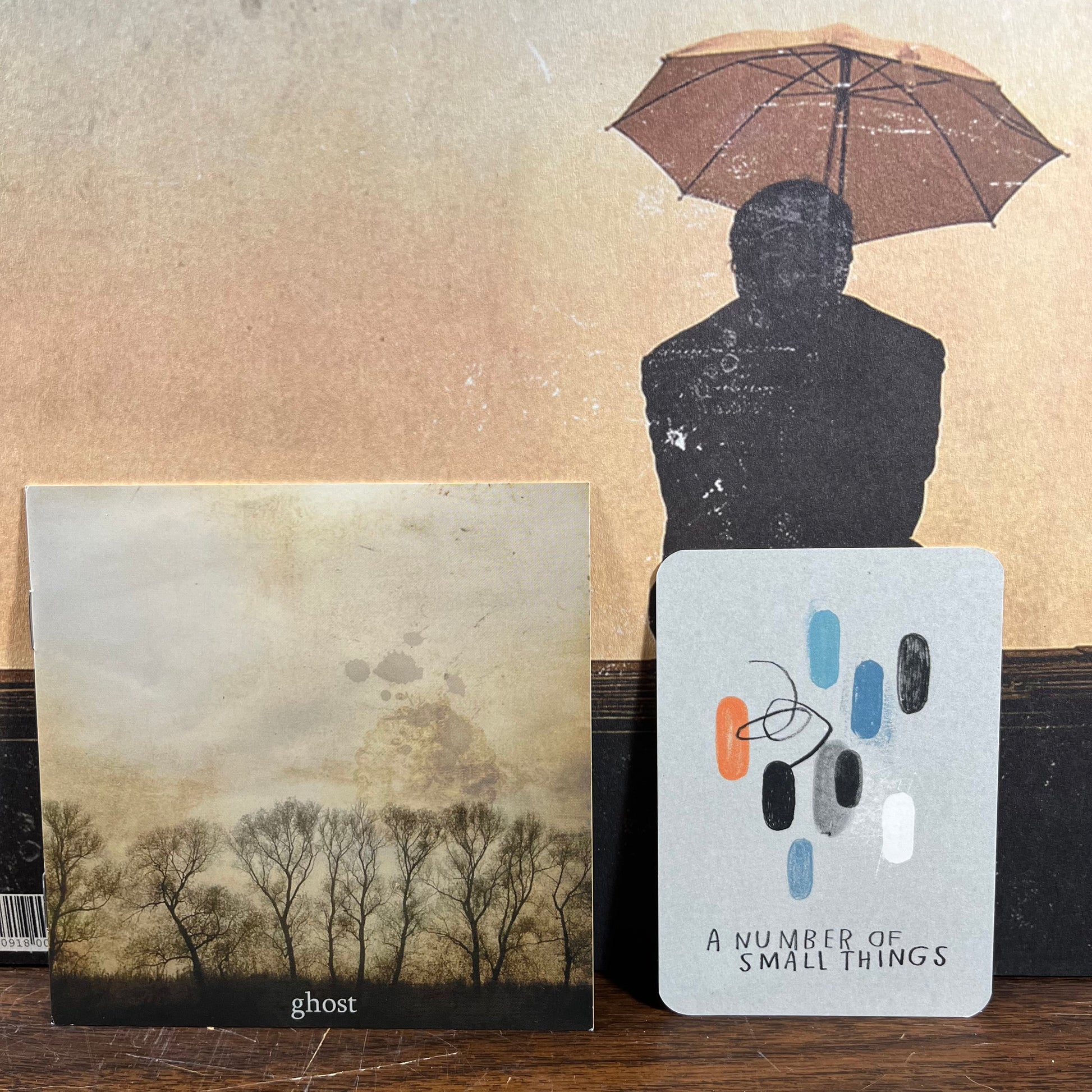 Ghost (VINYL) | Near Mint (NM) Near Mint (NM) - FOLK / USED *NEAR MINT*