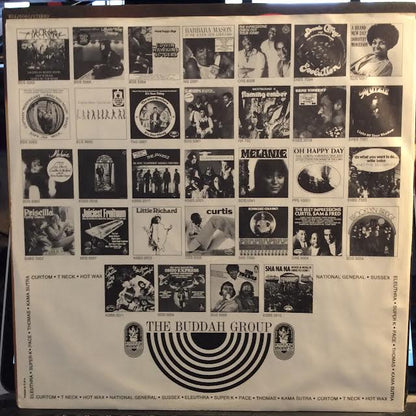 Candles In The Rain (VINYL) | Near Mint (NM or M-) Excellent (EX) - FOLK / USED *NEAR MINT*