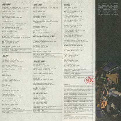 Better Oblivion Community Center (VINYL) | Near Mint (NM) Excellent (EX) - FOLK / USED *NEAR MINT*