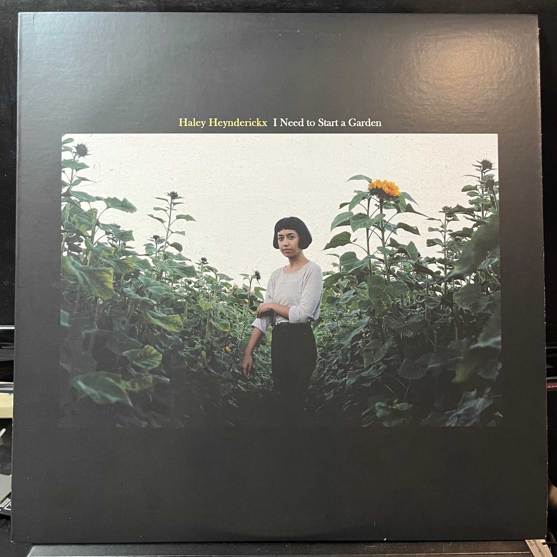Haley Heynderickx - I Need To Start A Garden (MULTICOLOR VINYL LP) | USED - FOLK / USED *NEAR MINT*