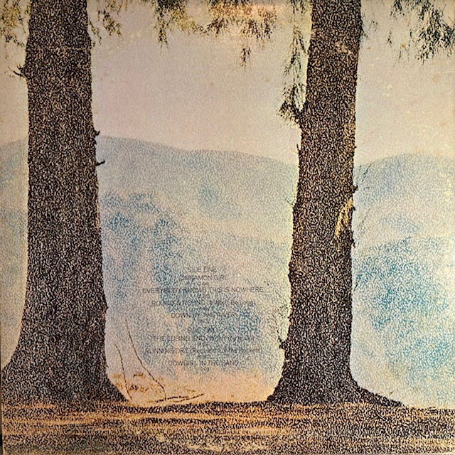 Everybody Knows This Is Nowhere (VINYL) | Very Good Plus (VG+) Excellent (EX) - FOLK / USED *VERY GOOD+*