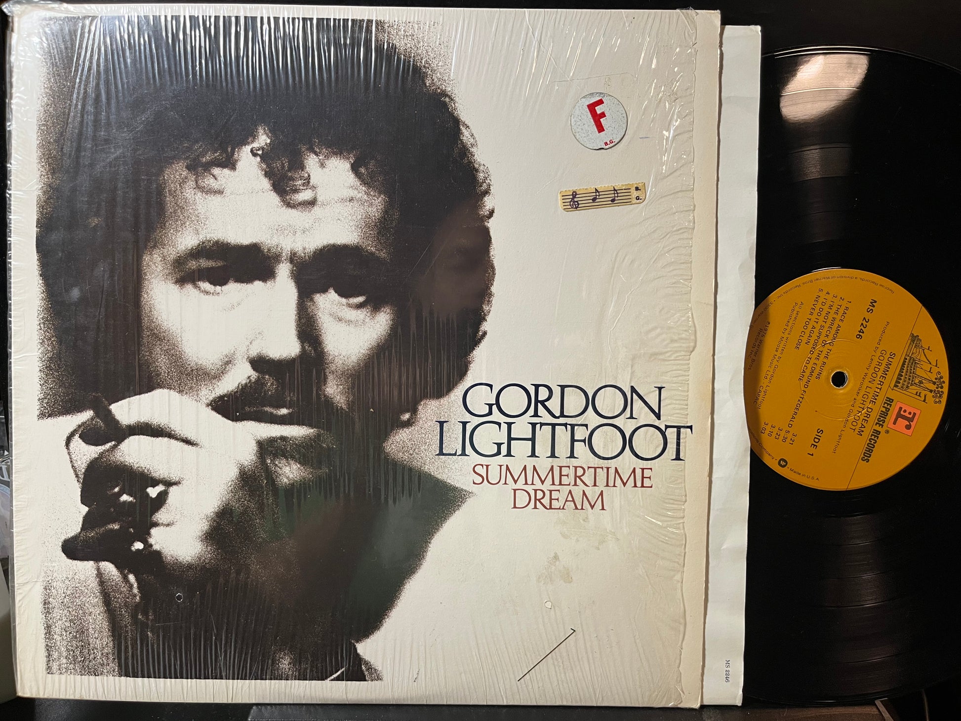 Gordon Lightfoot - Summertime Dream (VINYL LP) | Very Good (VG) Near Mint (NM) - FOLK / USED *VERY GOOD*