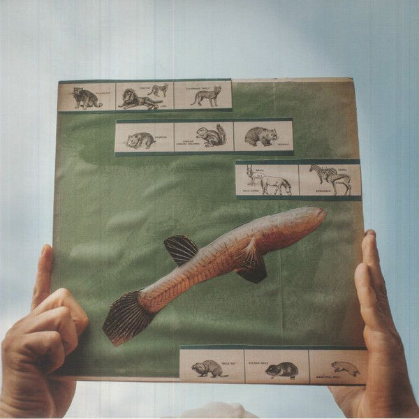 The River Strumming | Mint (M) Mint (M) - FOLK *SEALED*