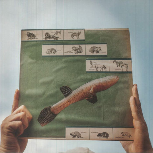 The River Strumming | Mint (M) Mint (M) - FOLK *SEALED*