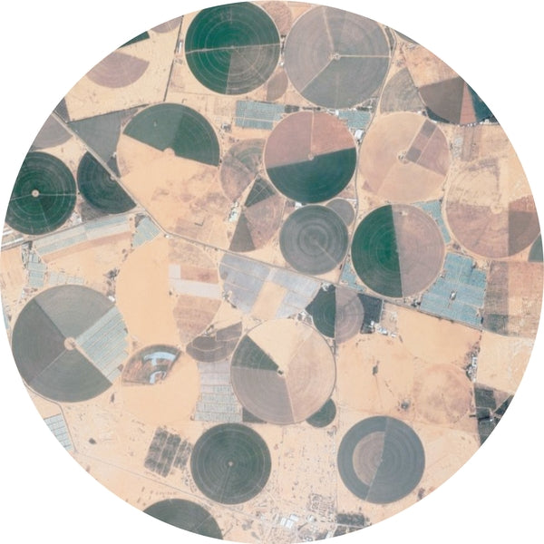 Recursion Ep |