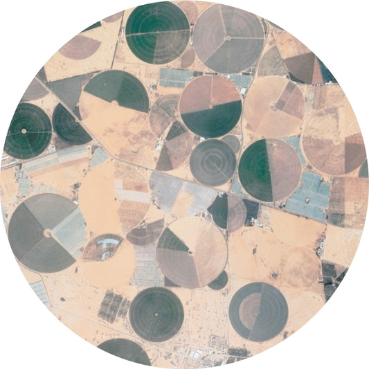 Recursion Ep |