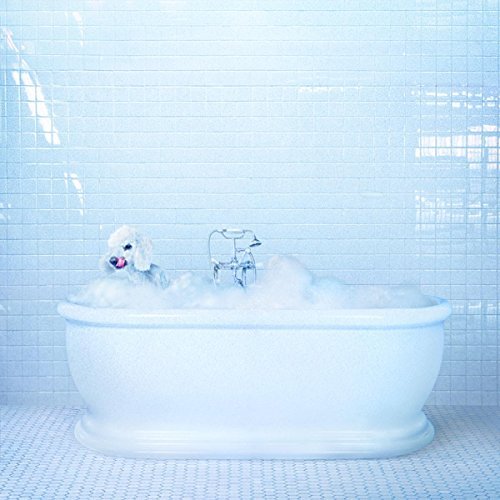 Frankie Cosmos - Vessel |