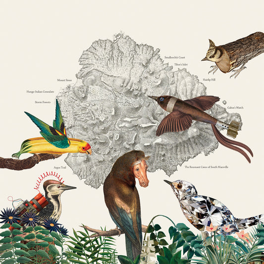 The Birds Of Marsville |