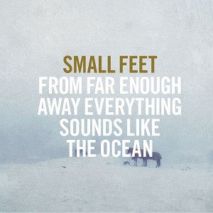 Small Feet - From Far Enough Away Everything Sounds Like The Ocean (CD) |