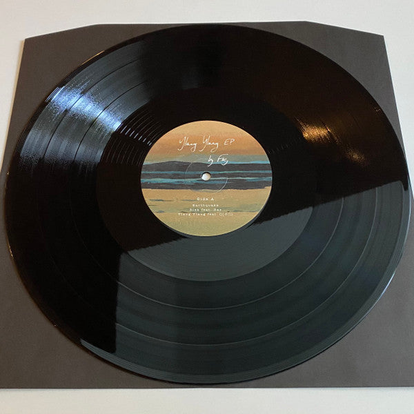 FKJ (French Kiwi Juice) - Ylang Ylang EP (VINYL) | Near Mint (NM) Near Mint (NM) - FUNK/DOWNTEMPO / USED *NEAR MINT*