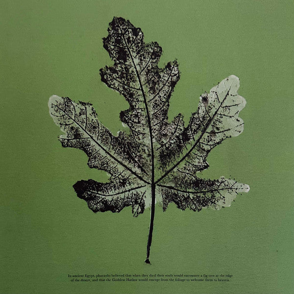 Live From Blackalachia | Mint (M) Mint (M) - FUNK *NEW/COLOR/VMP*