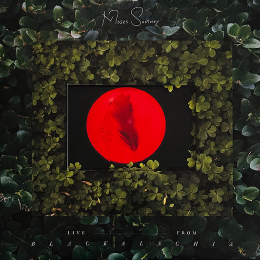 Live From Blackalachia | Mint (M) Mint (M) - FUNK *NEW/COLOR/VMP*