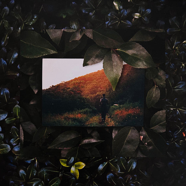 Live From Blackalachia | Mint (M) Mint (M) - FUNK *NEW/COLOR/VMP*