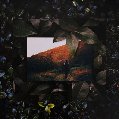 Live From Blackalachia | Mint (M) Mint (M) - FUNK *NEW/COLOR/VMP*