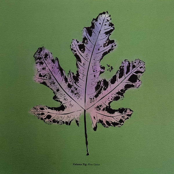 Live From Blackalachia | Mint (M) Mint (M) - FUNK *NEW/COLOR/VMP*
