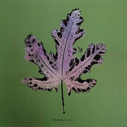 Live From Blackalachia | Mint (M) Mint (M) - FUNK *NEW/COLOR/VMP*