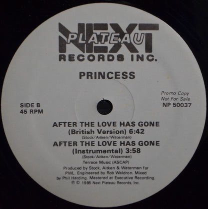 Princess - After The Love Has Gone | Mint (M) Generic - FUNK *NEW*