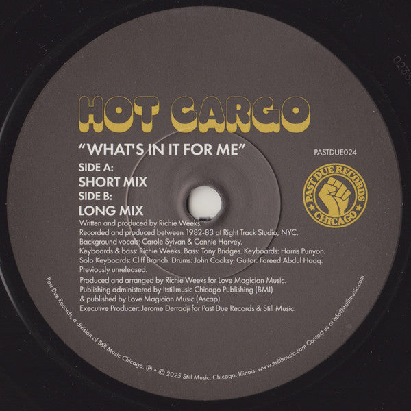 Hot Cargo (2) - What’s In It For Me (VINYL 7" Past Due PASTDUE024) | - FUNK *NEW*