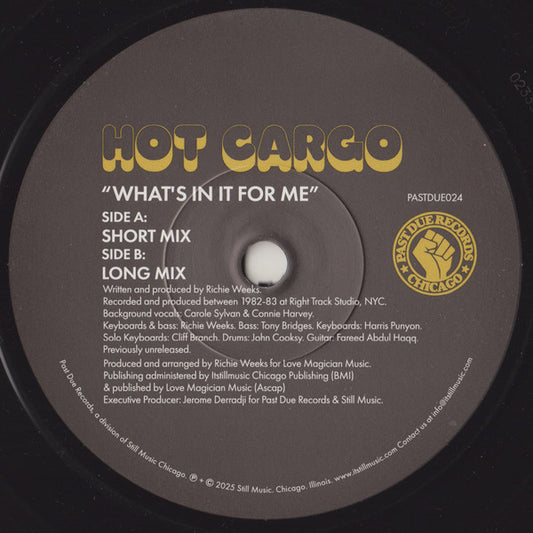 Hot Cargo (2) - What’s In It For Me (VINYL 7" Past Due PASTDUE024) | - FUNK *NEW*
