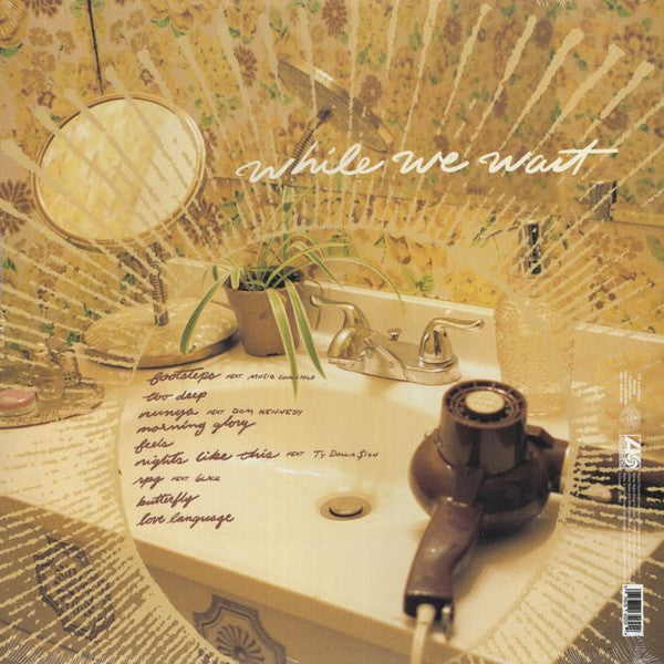 While We Wait | Mint (M) Mint (M) - FUNK/R&B *SEALED*