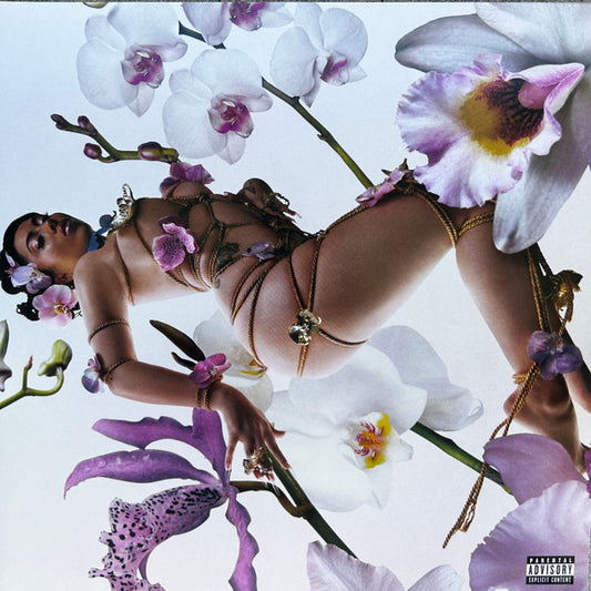 Orquídeas (VINYL) | Mint (M) Near Mint (NM) - FUNK *SEALED*