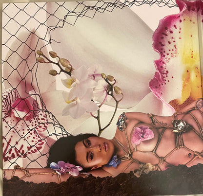 Kali Uchis - Orquídeas (VINYL) | Near Mint (NM) Near Mint (NM) - FUNK / USED *NEAR MINT*