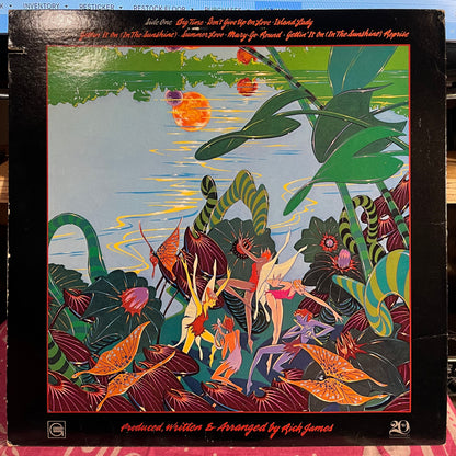 Rick James - Garden Of Love | Near Mint (NM) Excellent (EX) - FUNK / USED *NEAR MINT*