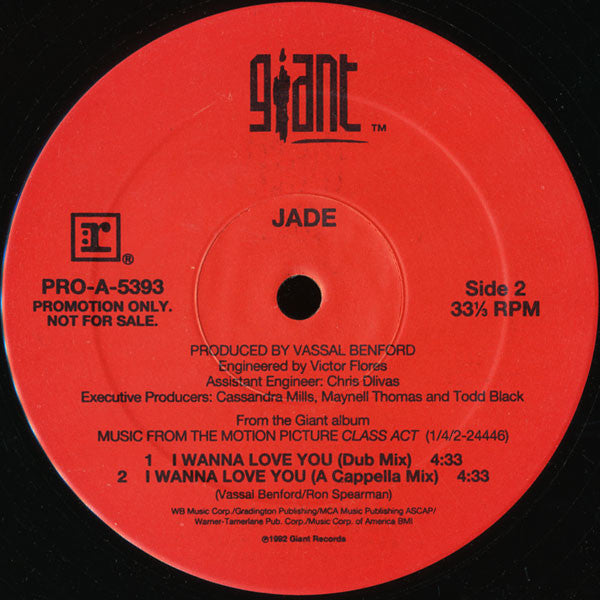 I Wanna Love You (VINYL) | Near Mint (NM) Excellent+ (EX+) - FUNK / USED *NEAR MINT*