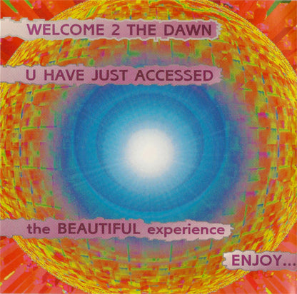 The Beautiful Experience (CD) | Near Mint (NM) Near Mint (NM) - FUNK / USED *NEAR MINT*