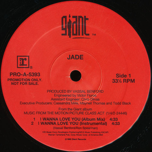 I Wanna Love You (VINYL) | Near Mint (NM) Excellent+ (EX+) - FUNK / USED *NEAR MINT*