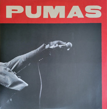 Black Pumas (GALAXY COLOR 2xVINYL) | Near Mint (NM or M-) Near Mint (NM or M-) - FUNK / USED *NEAR MINT*