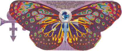 The Beautiful Experience (CD) | Near Mint (NM) Near Mint (NM) - FUNK / USED *NEAR MINT*