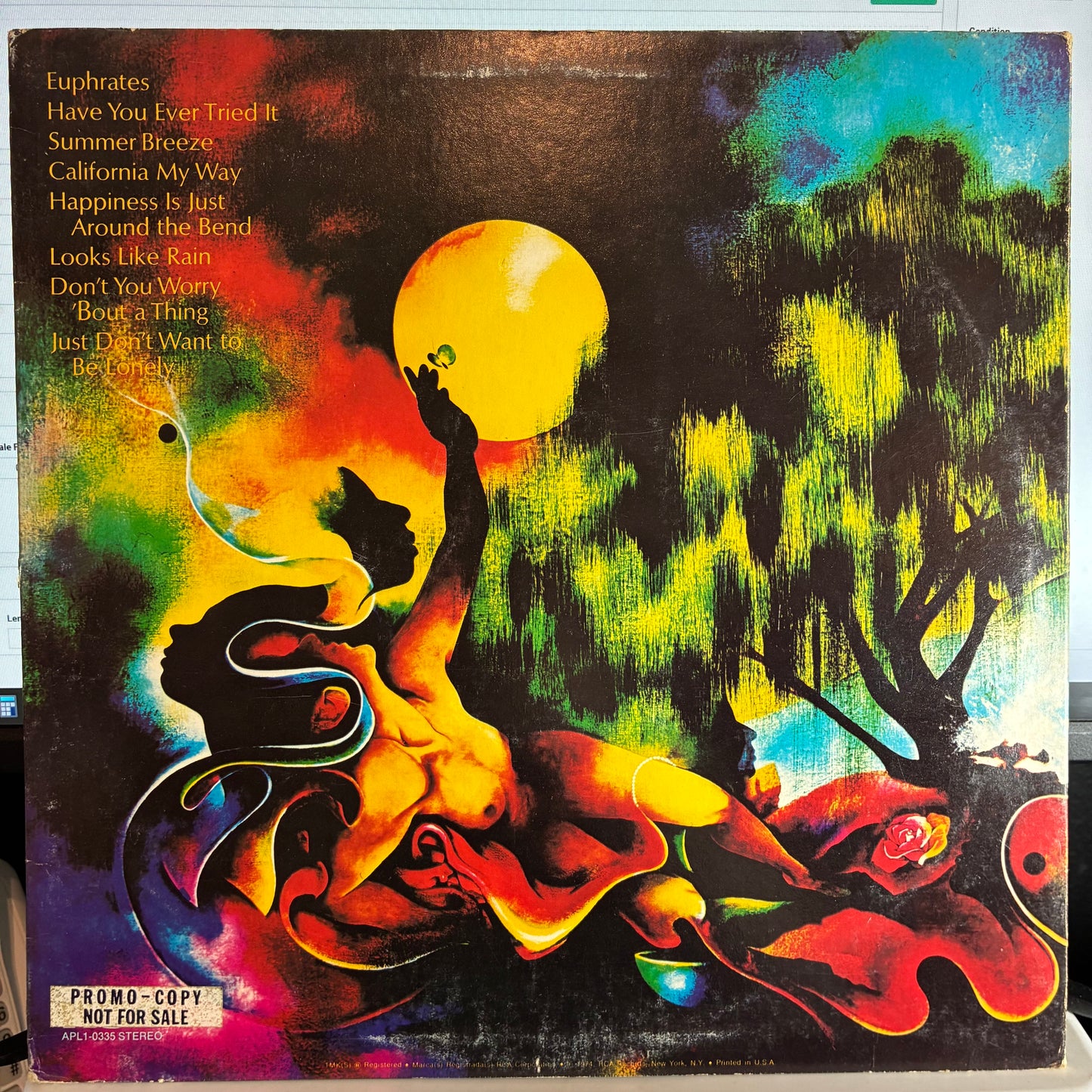 The Main Ingredient - Euphrates River (VINYL) | Very Good Plus (VG+) Excellent (EX) - FUNK / USED *VERY GOOD+*