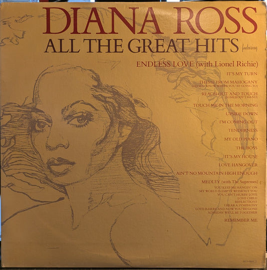 All The Great Hits (2xVINYL) | Very Good Plus (VG+) Excellent+ (EX+) - FUNK / USED *VERY GOOD+*