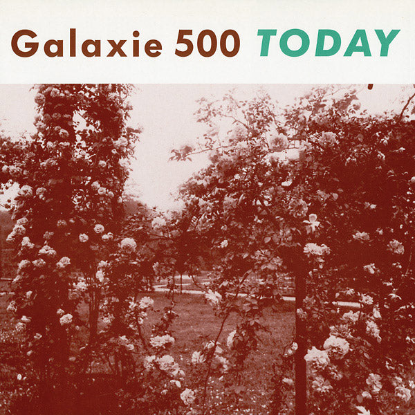 Today (VINYL) | - ALT/INDIE *NEW*