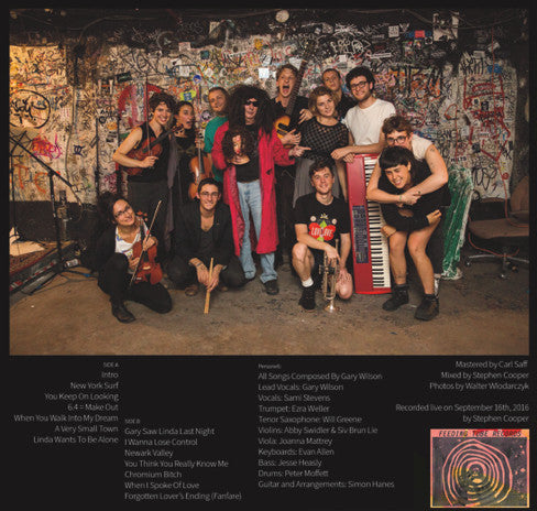 Gary Wilson & Tredici Bacci Another Lonely Night In Brooklyn Feeding Tube Records LP, Album, Ltd Mint (M) Mint (M)