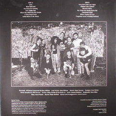 Gary Wilson & Tredici Bacci Another Lonely Night In Brooklyn Feeding Tube Records LP, Album, Ltd Mint (M) Mint (M)