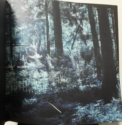 Narkopop | Mint (M) Mint (M) - AMBIENT *SEALED*
