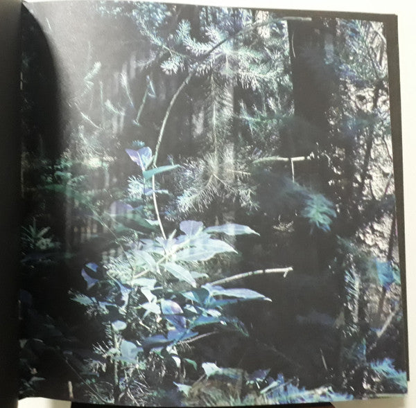 Narkopop | Mint (M) Mint (M) - AMBIENT *SEALED*