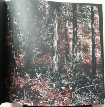 Narkopop | Mint (M) Mint (M) - AMBIENT *SEALED*