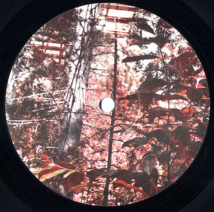 Narkopop | Mint (M) Mint (M) - AMBIENT *SEALED*