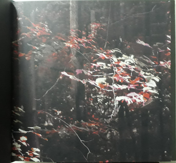 Narkopop | Mint (M) Mint (M) - AMBIENT *SEALED*