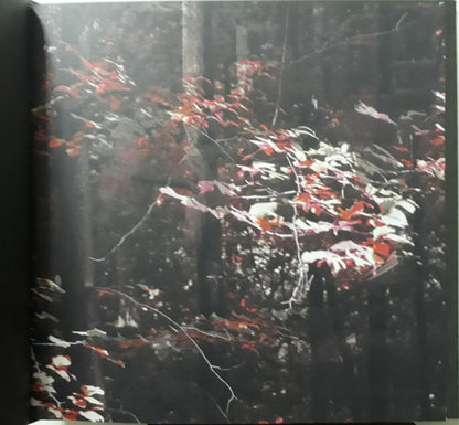 Narkopop | Mint (M) Mint (M) - AMBIENT *SEALED*