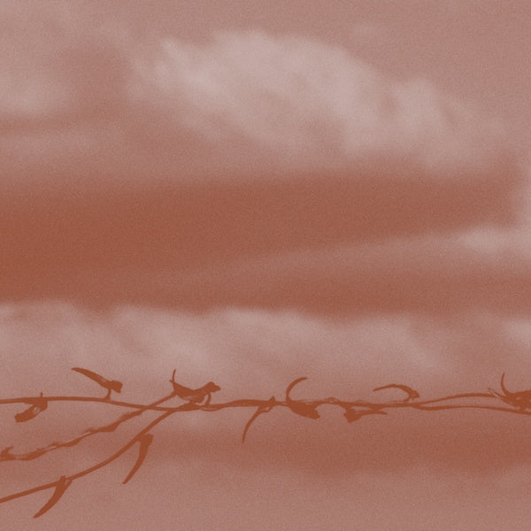 Double Bind |